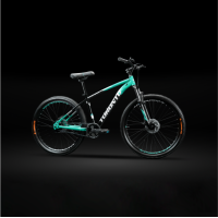 FRASER 24" Single Speed